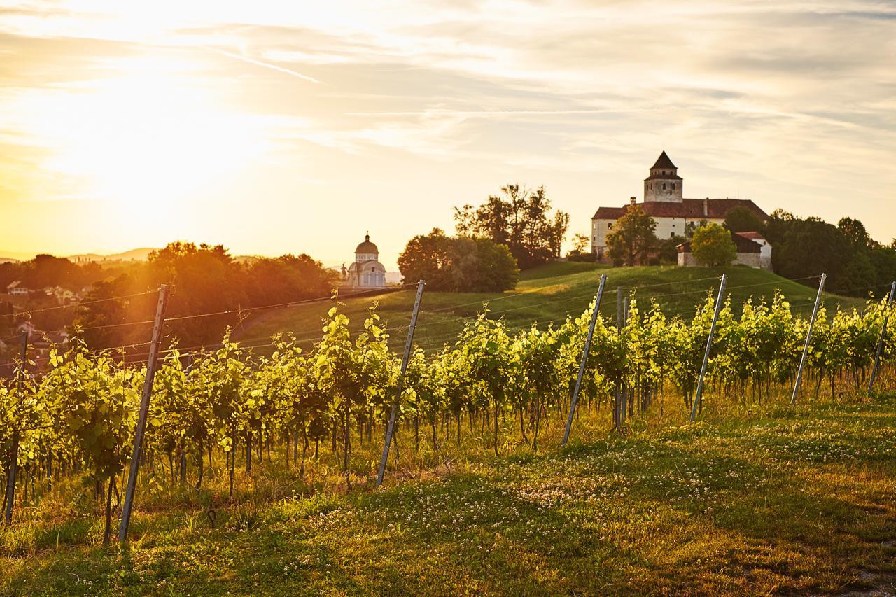 Loisium Wine & Spa Hotel Suedsteiermark Ehrenhausen Esterno foto